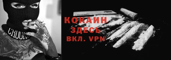 дурь Алексин