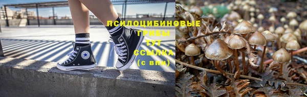 spice Алзамай